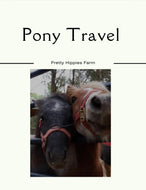 Pony Travel