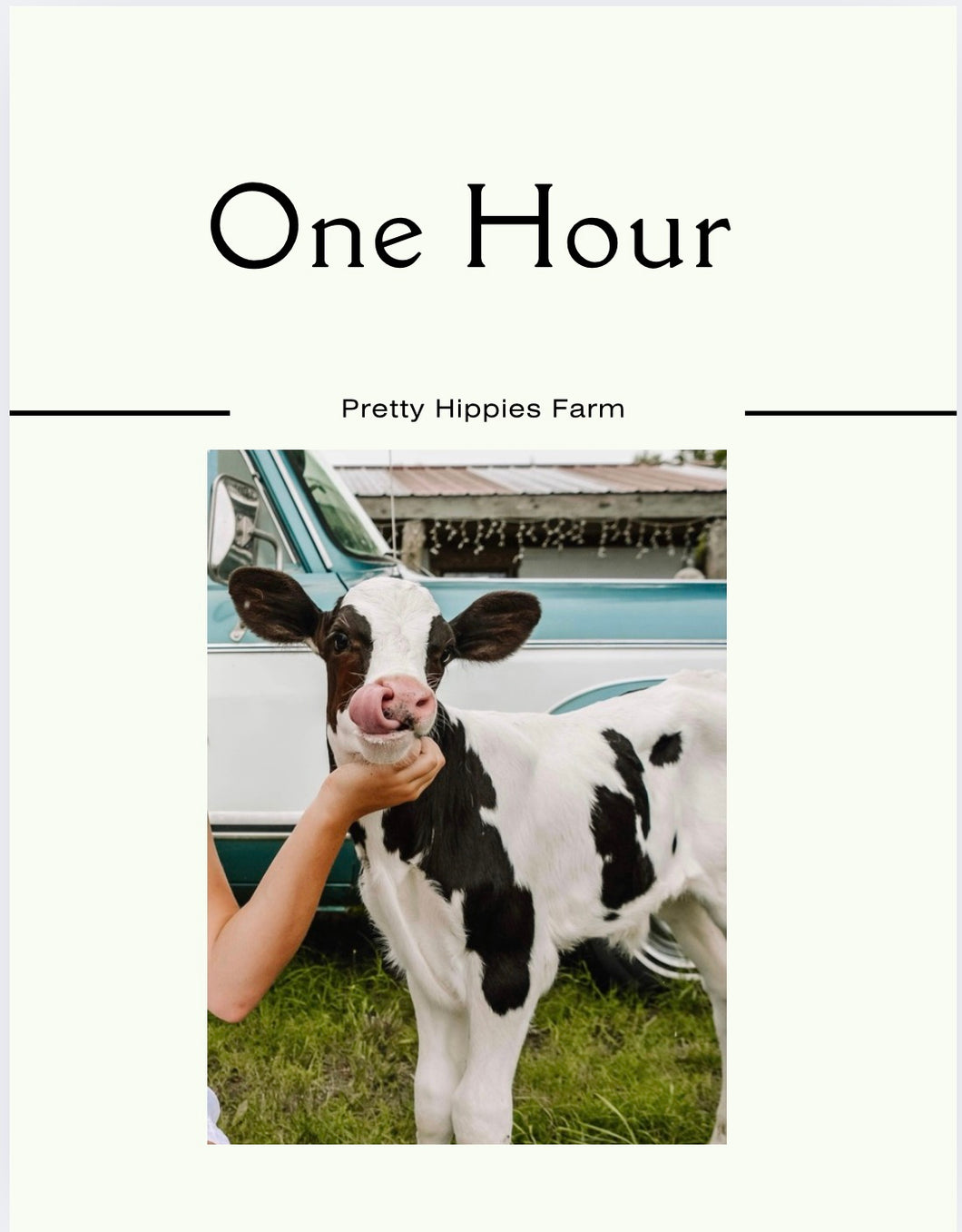Multiple Sessions By Hour