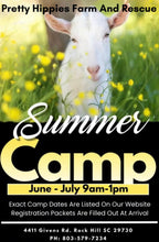 Load image into Gallery viewer, Summer Camp
