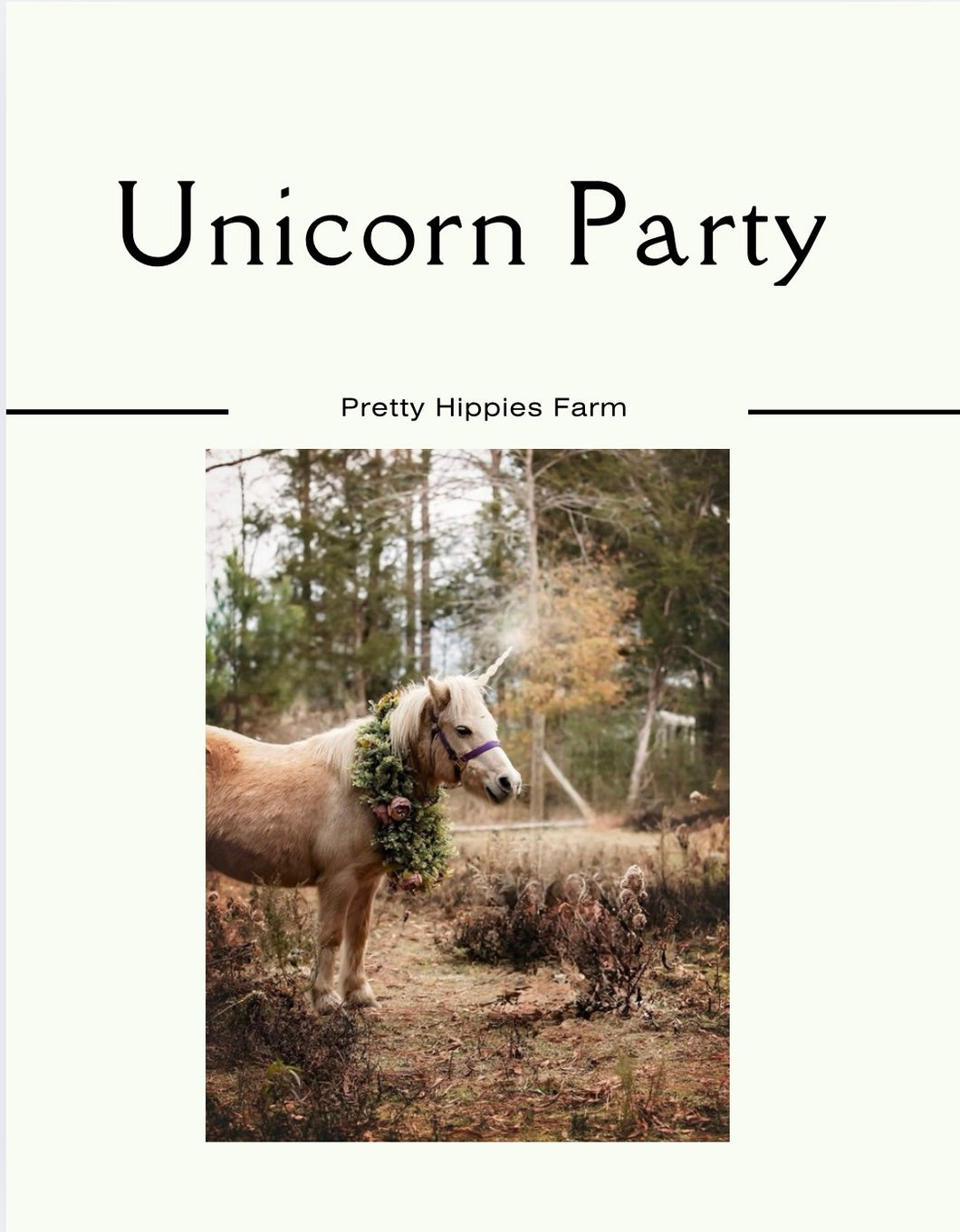 Unicorn Party